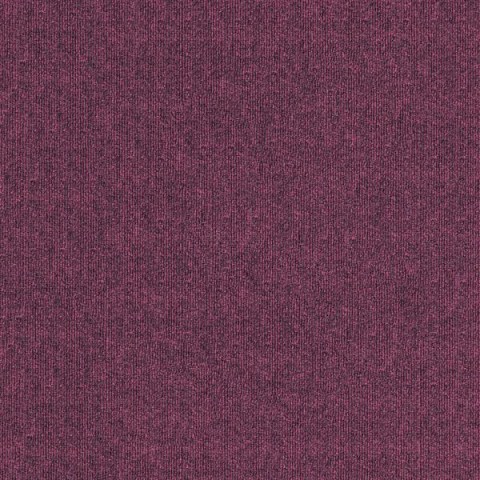 2404-Purple Fuzz